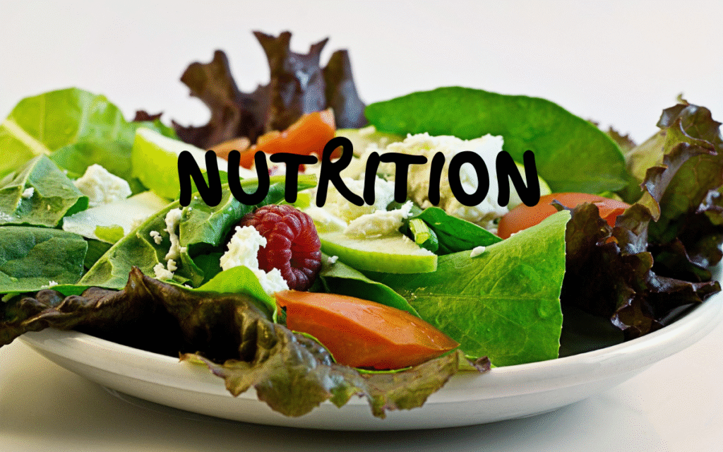 Fresh vegetable salad with leafy greens, tomatoes, cucumber, and cheese, with the word "Nutrition" overlayed, symbolizing healthy diet & nutrition choices for wellness and weight management.