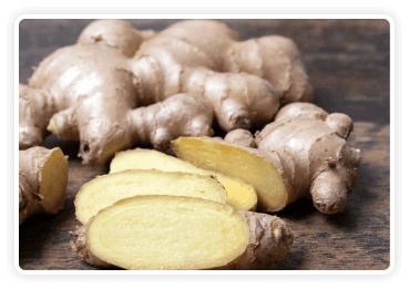 Himalayan Mountain Ginger image