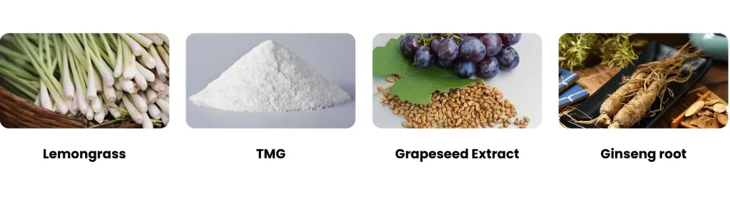 Cardio Slim Tea Ingredient photos